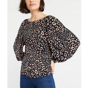 Ann Taylor Night Sky Navy and Tan Leopard Matte Print Dolman Sleeve Blouse Top